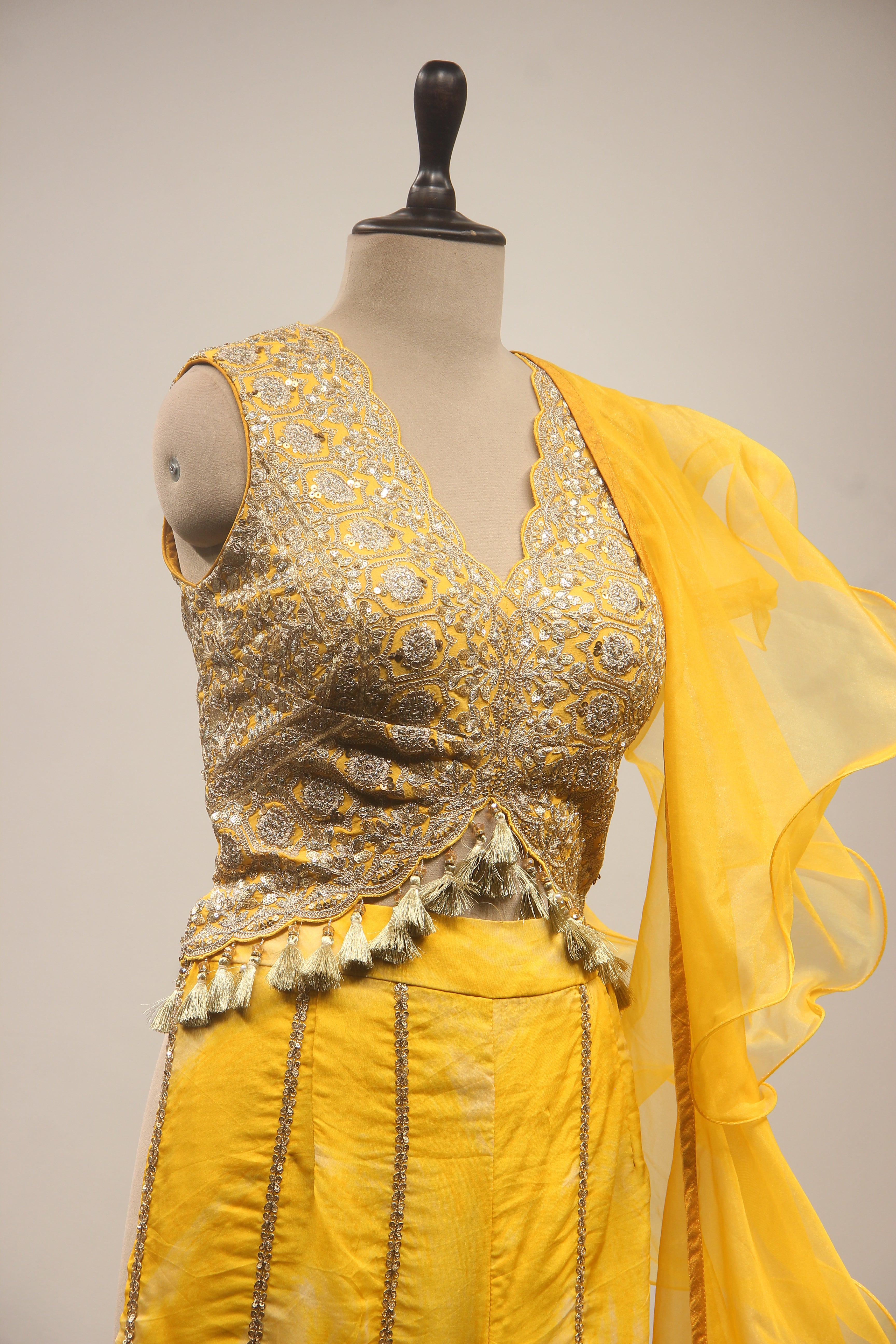 Red Chanderi Hand Embroidery,Bead Work Drape Saree - Back