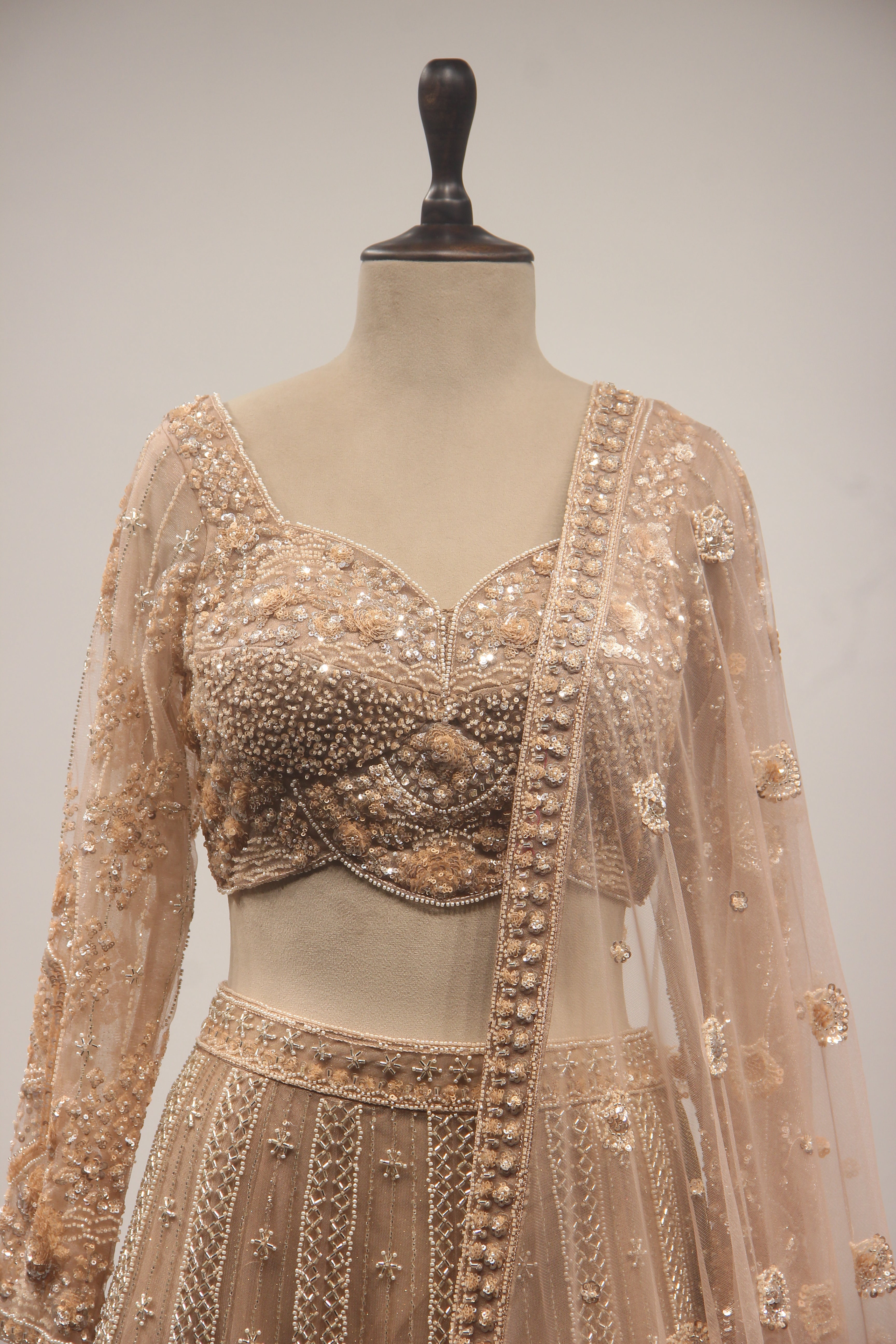 Beige Net Lehenga with Full-Sleeve Blouse, Cut Dana & Sequin Handwork