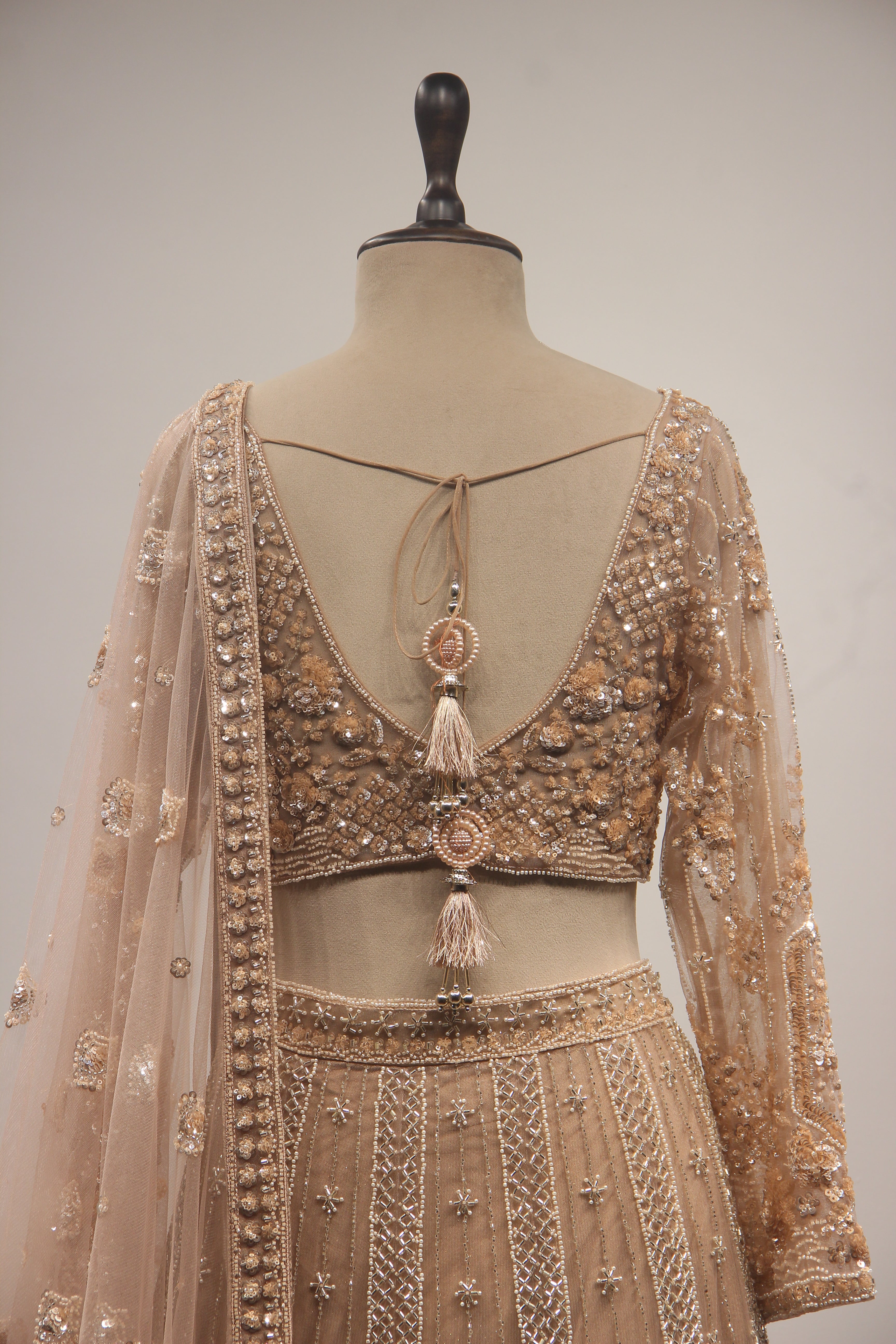 Beige Net Lehenga with Full-Sleeve Blouse, Cut Dana & Sequin Handwork