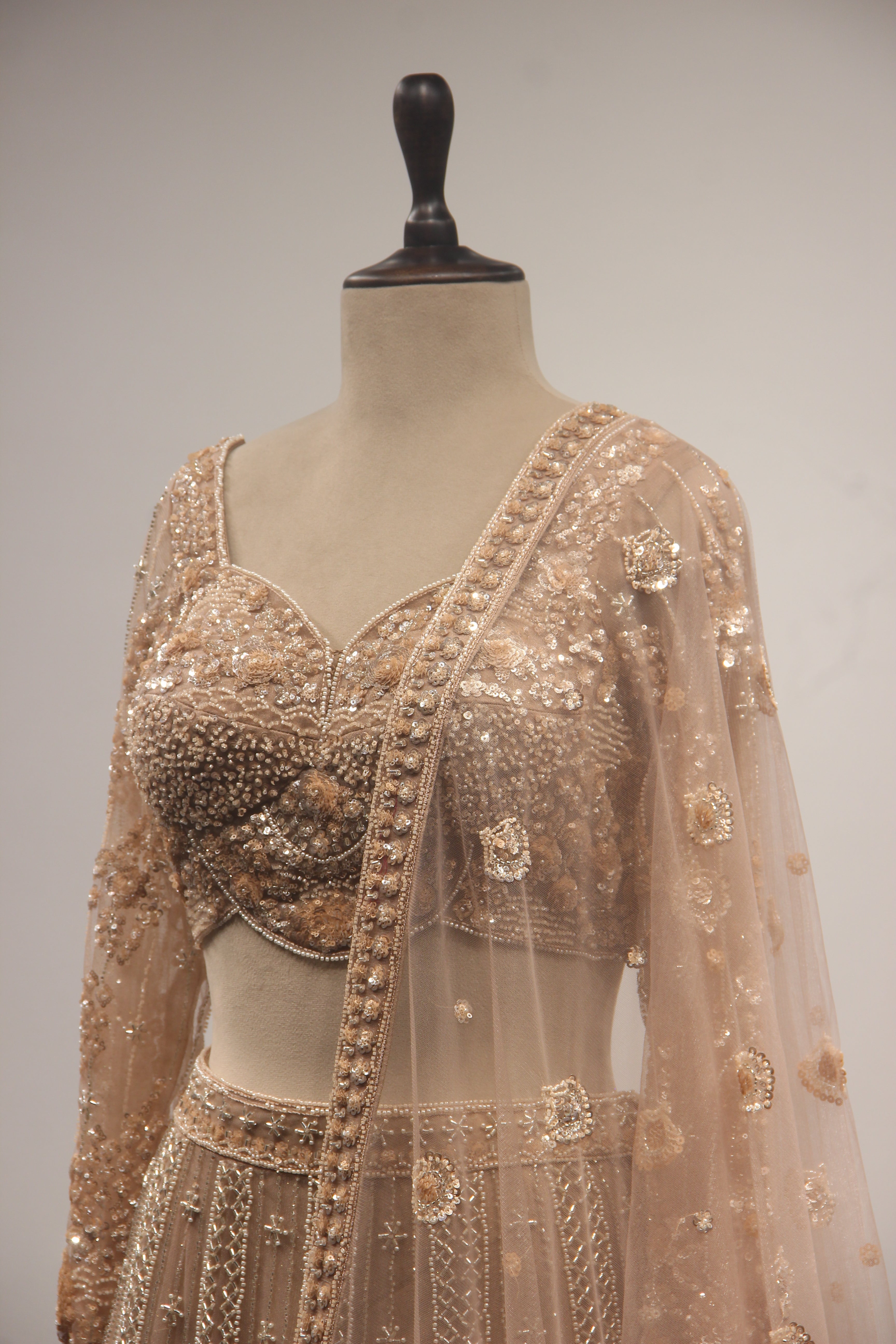 Beige Net Lehenga with Full-Sleeve Blouse, Cut Dana & Sequin Handwork