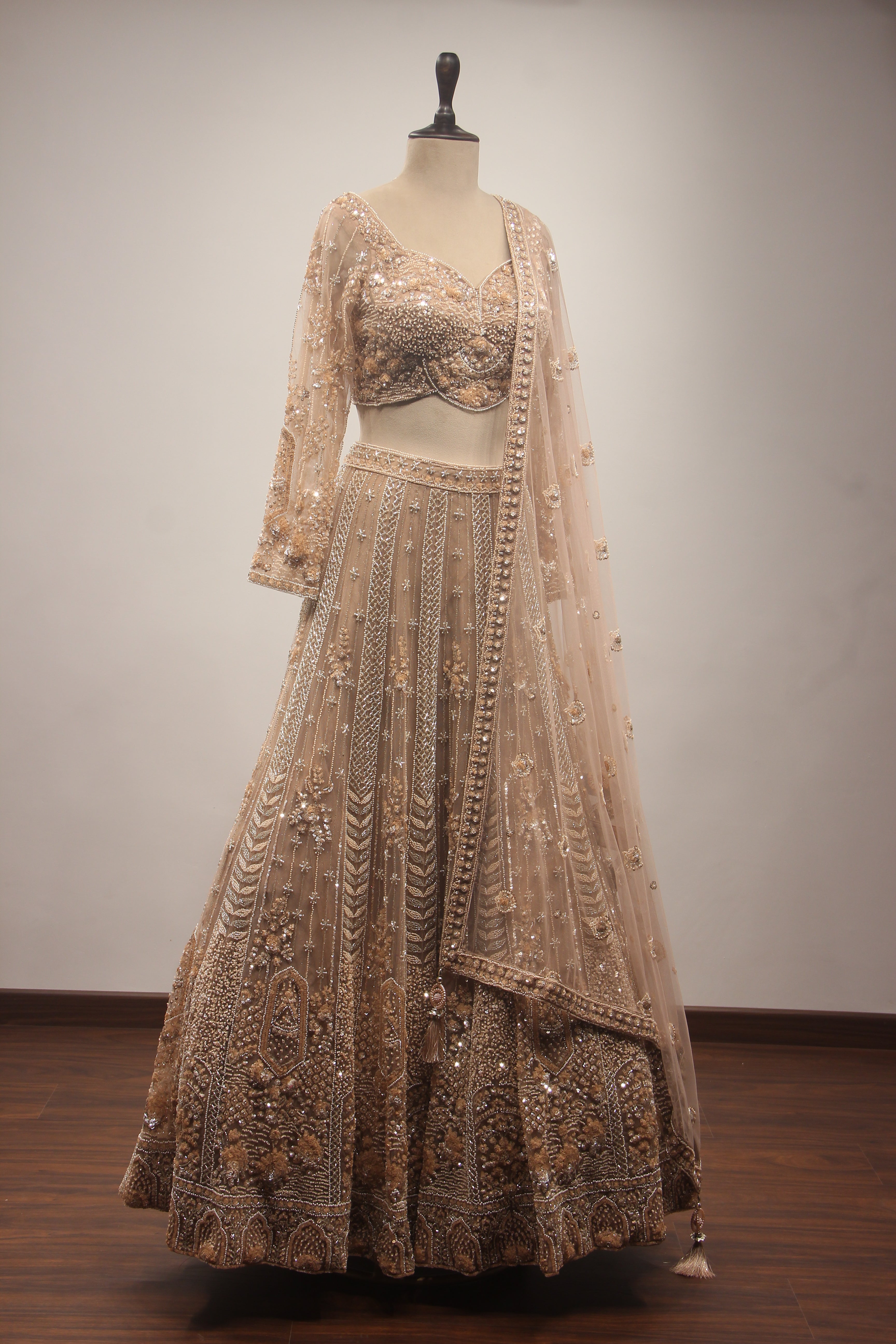 Beige Net Lehenga with Full-Sleeve Blouse, Cut Dana & Sequin Handwork
