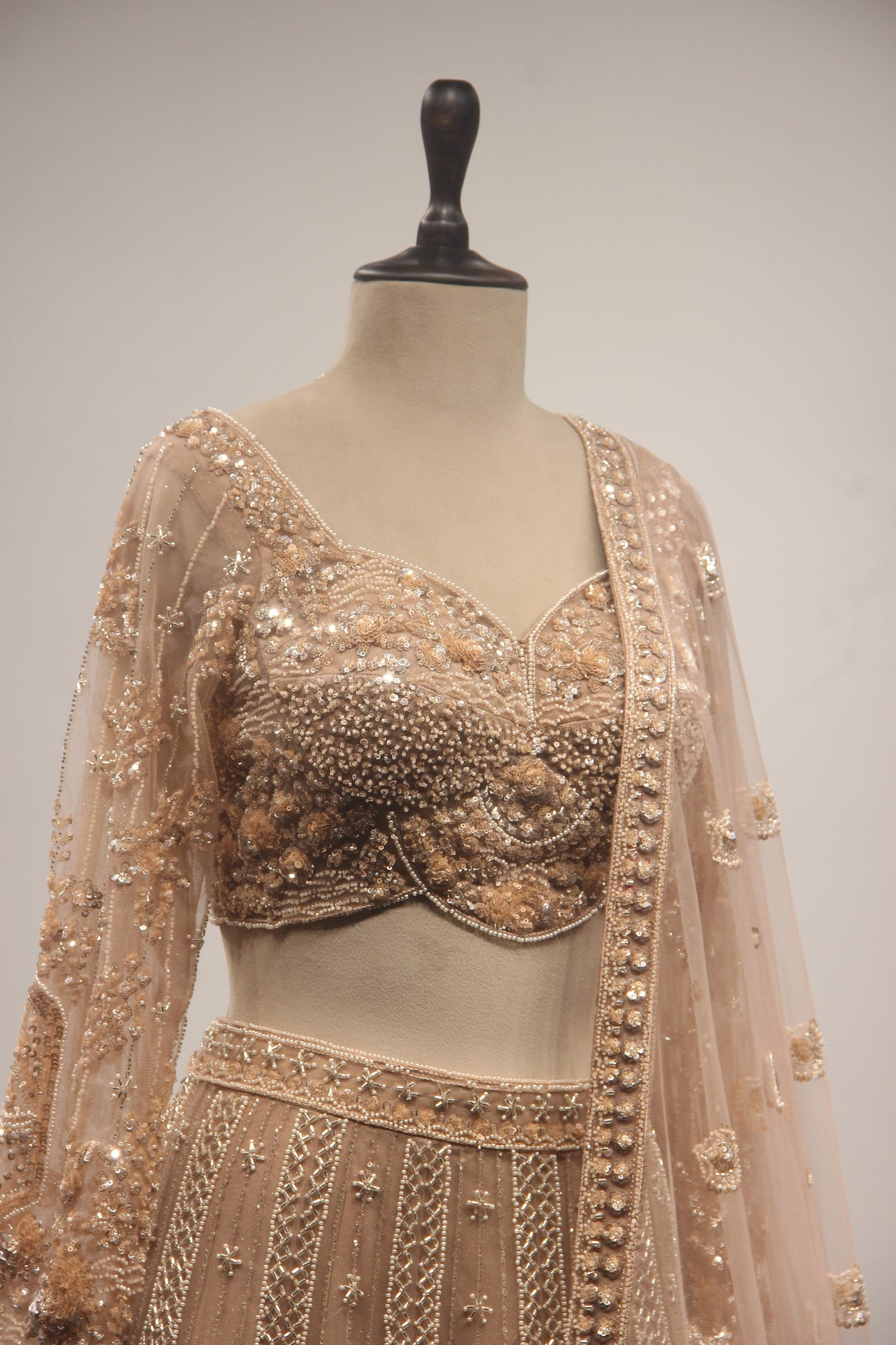 Beige Net Lehenga with Full-Sleeve Blouse, Cut Dana & Sequin Handwork