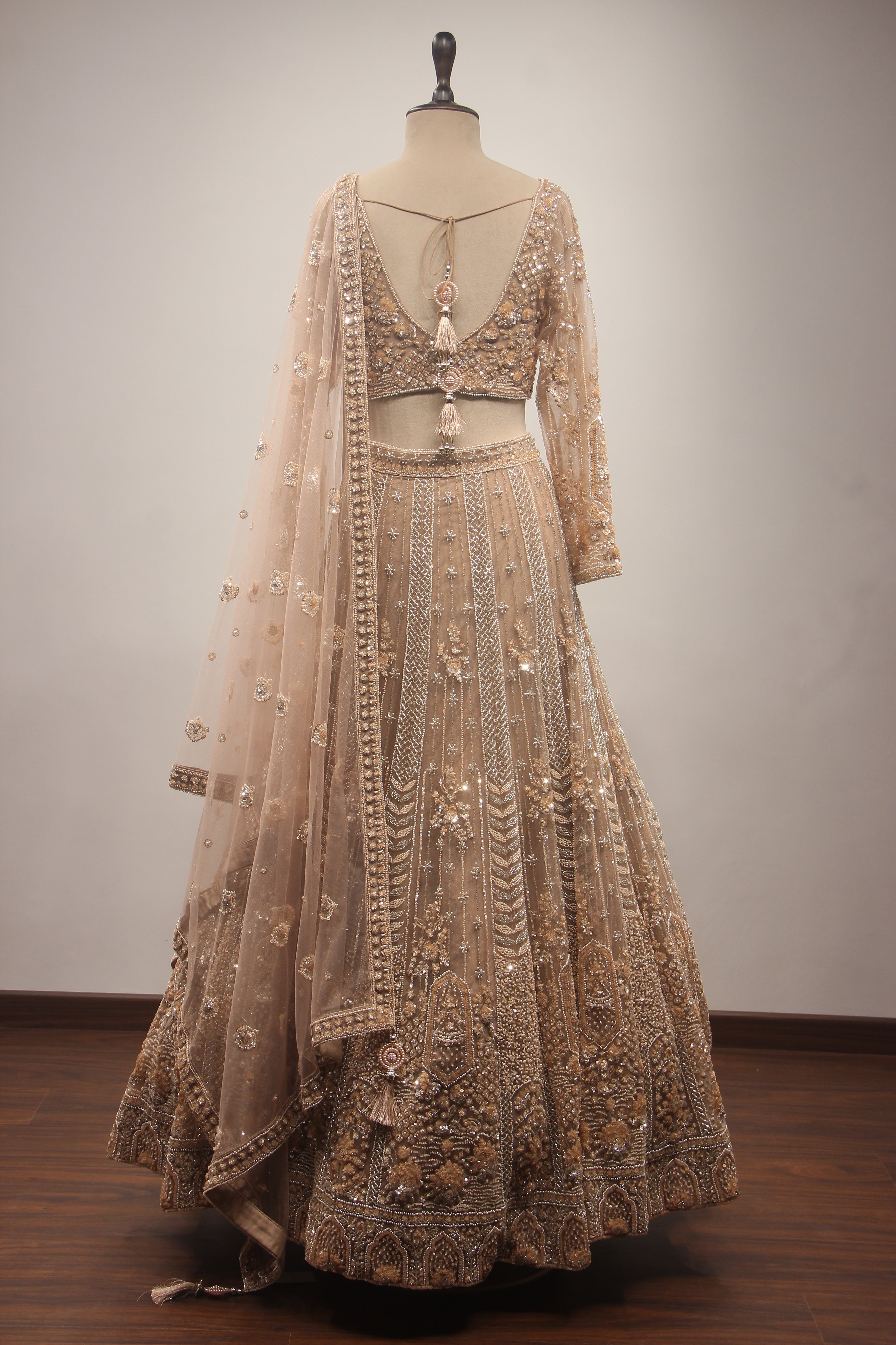 Beige Net Lehenga with Full-Sleeve Blouse, Cut Dana & Sequin Handwork