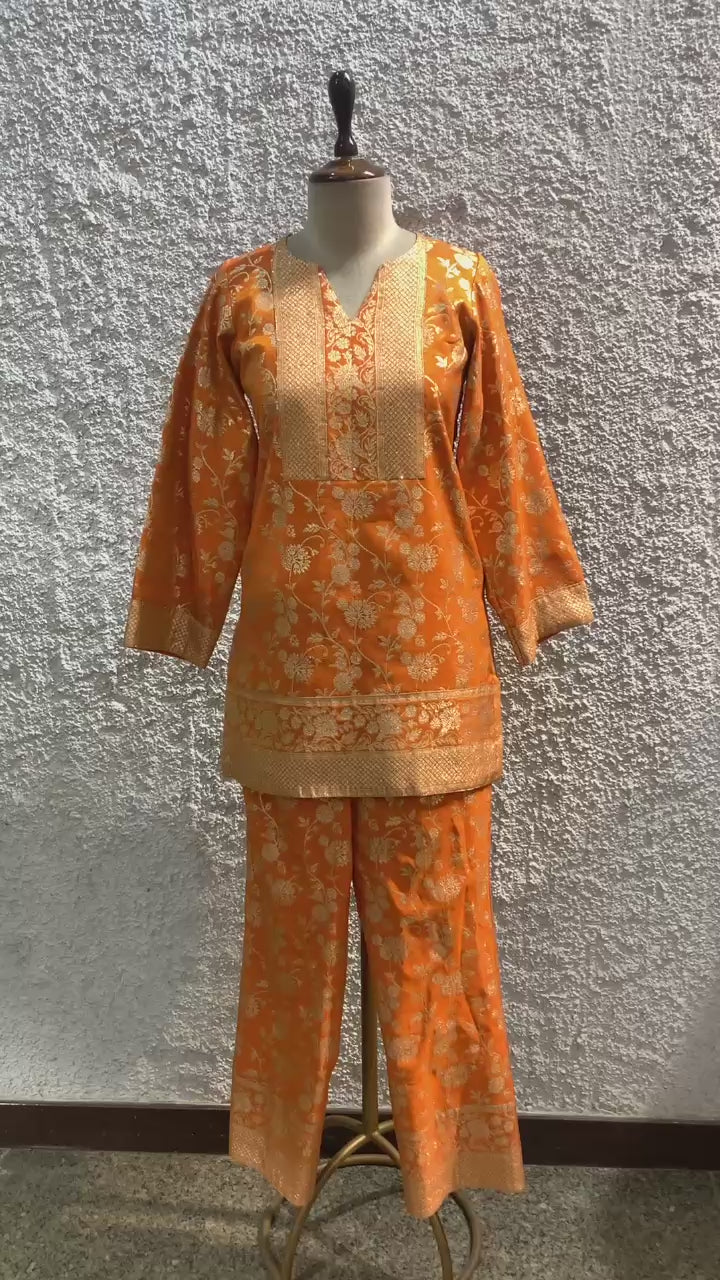 banarasi tissue embroidery Indo-Western-video