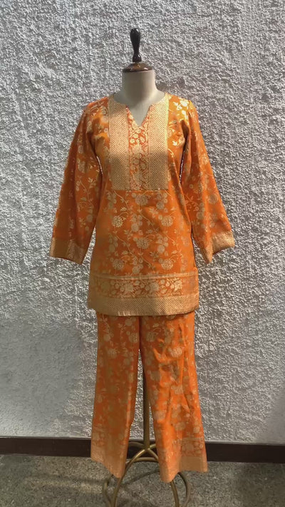 banarasi tissue embroidery Indo-Western-video